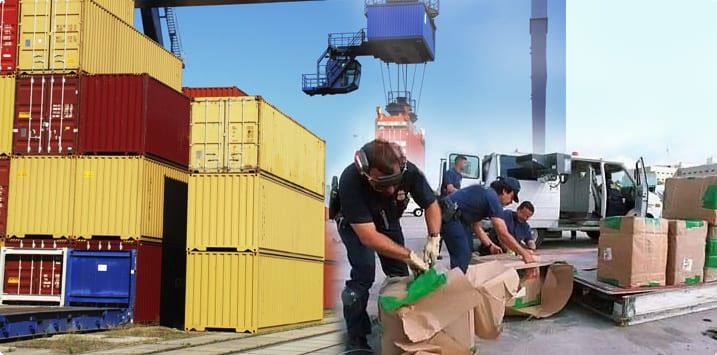 Focus Africa attains Customs License